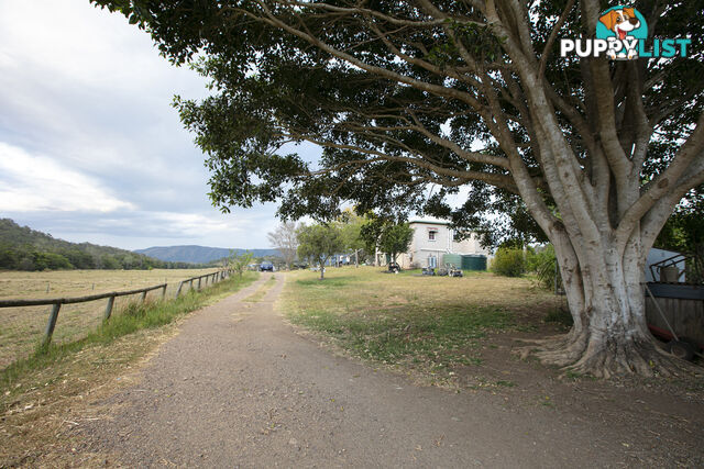 61 Dr Page Road Conondale QLD 4552