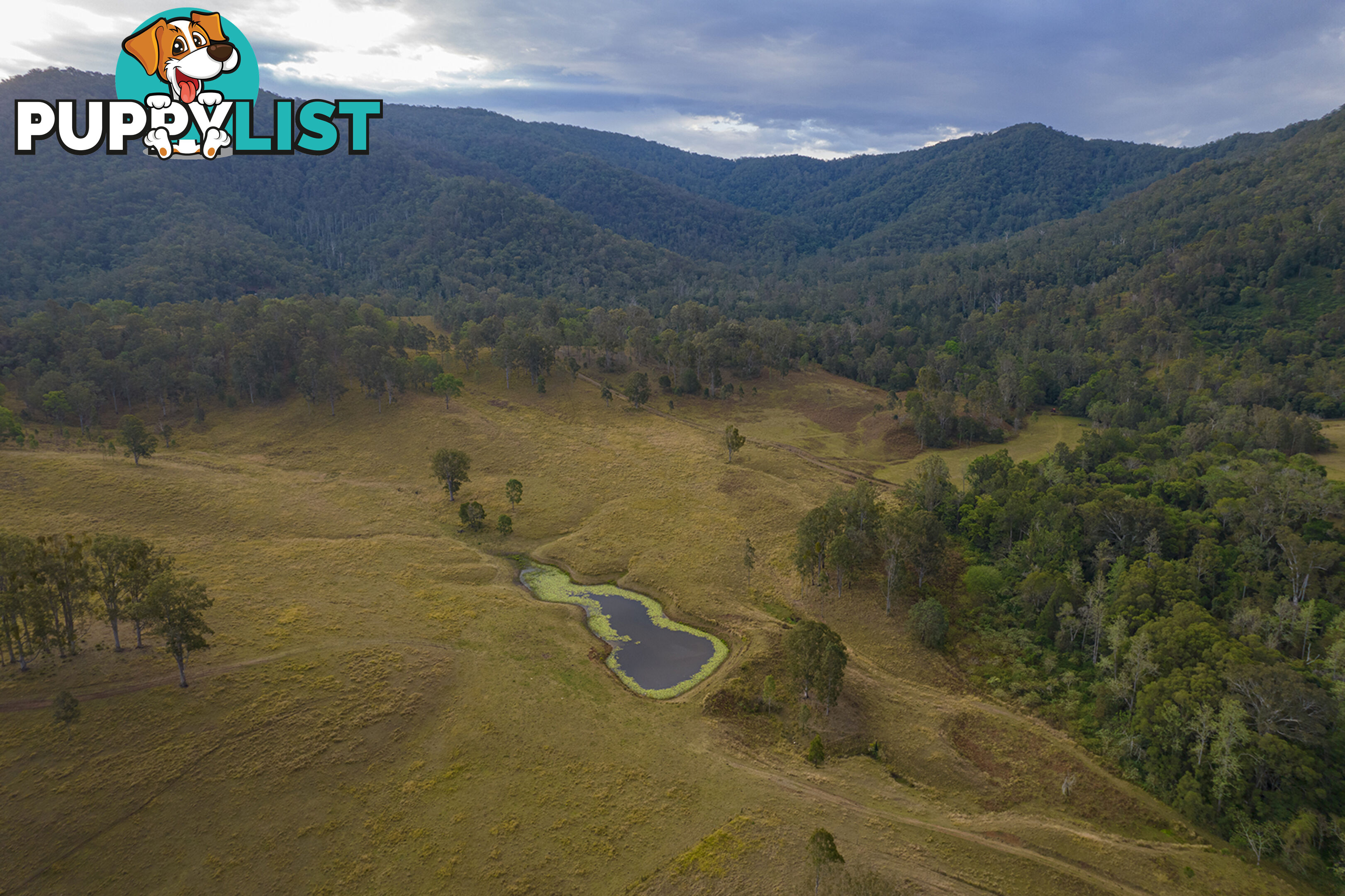 61 Dr Page Road Conondale QLD 4552