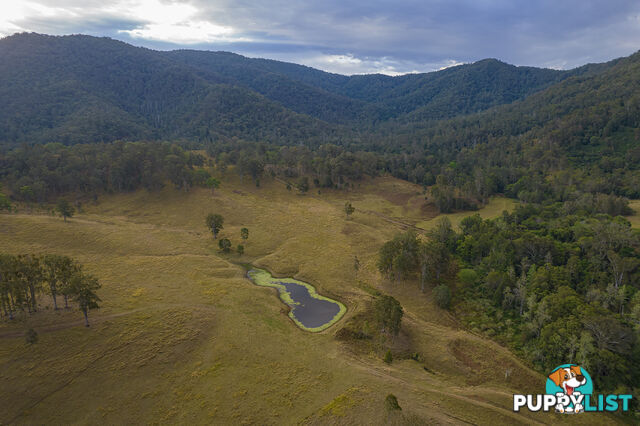 61 Dr Page Road Conondale QLD 4552