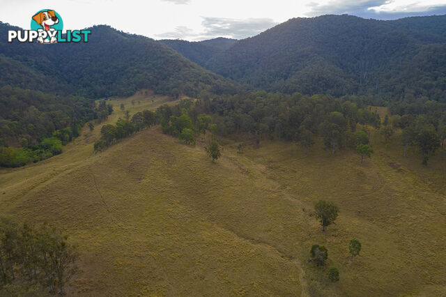 61 Dr Page Road Conondale QLD 4552