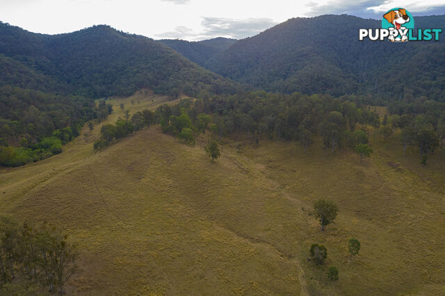 61 Dr Page Road Conondale QLD 4552