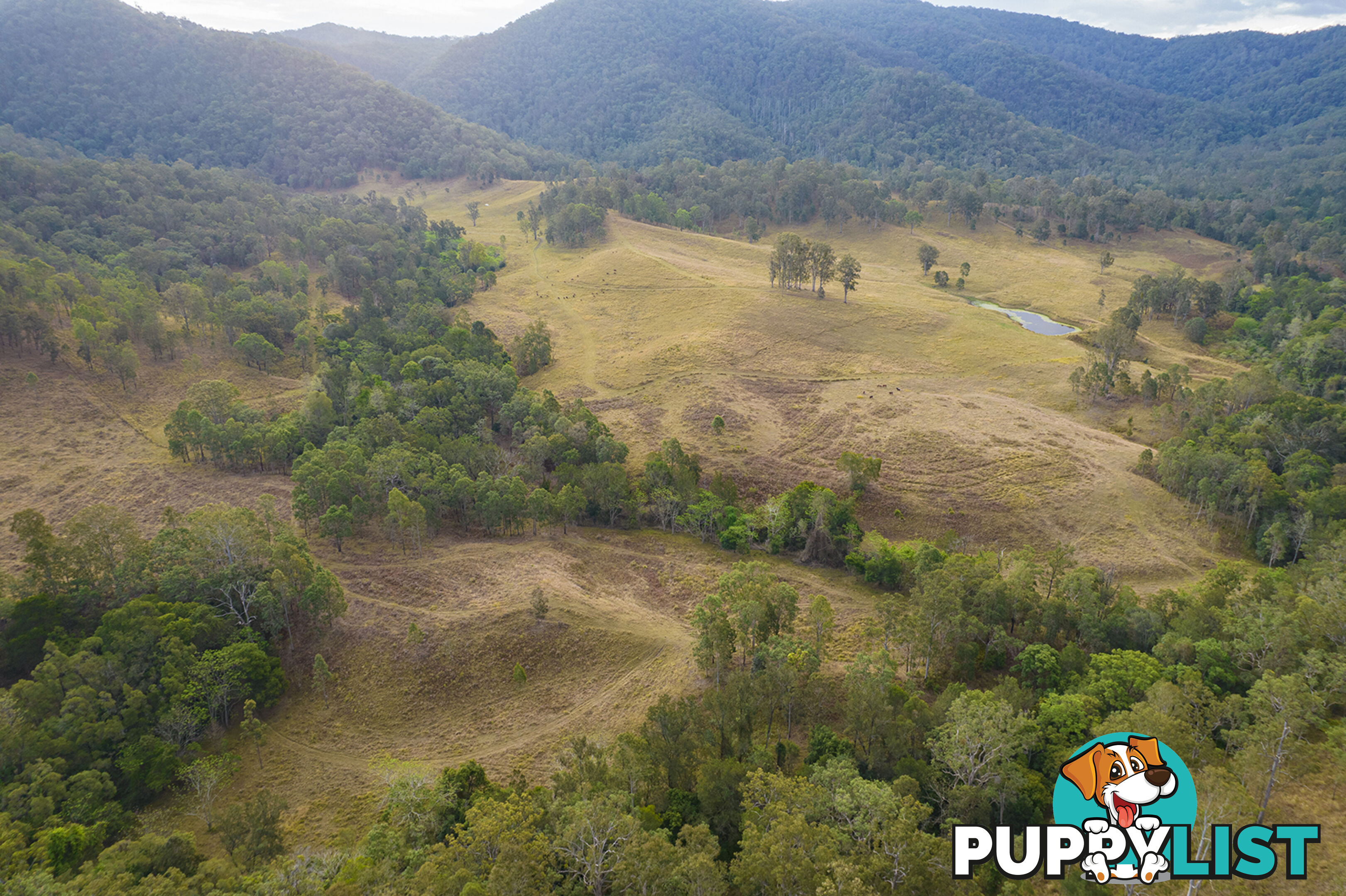 61 Dr Page Road Conondale QLD 4552