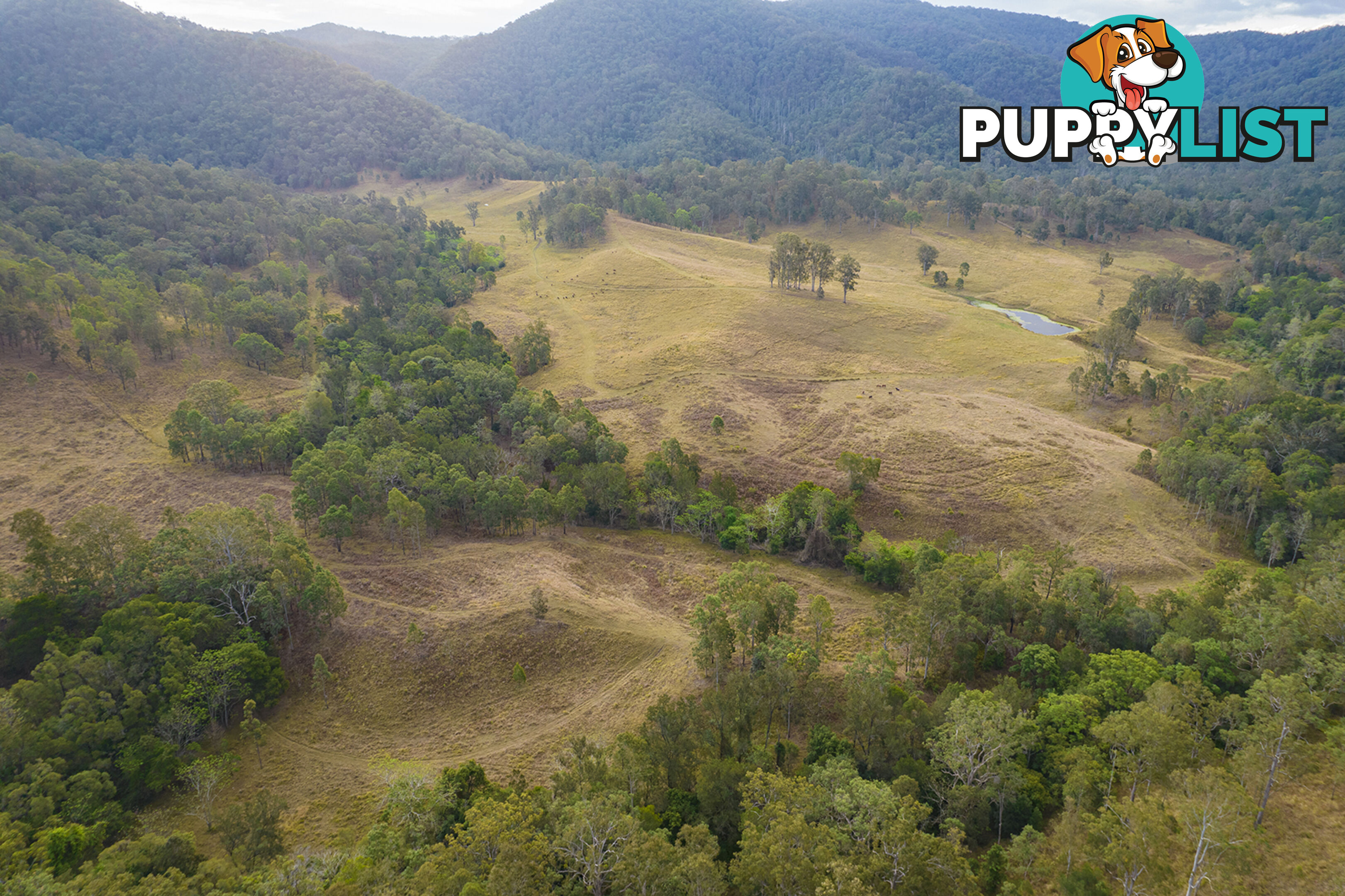 61 Dr Page Road Conondale QLD 4552