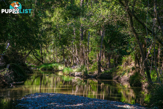 61 Dr Page Road Conondale QLD 4552