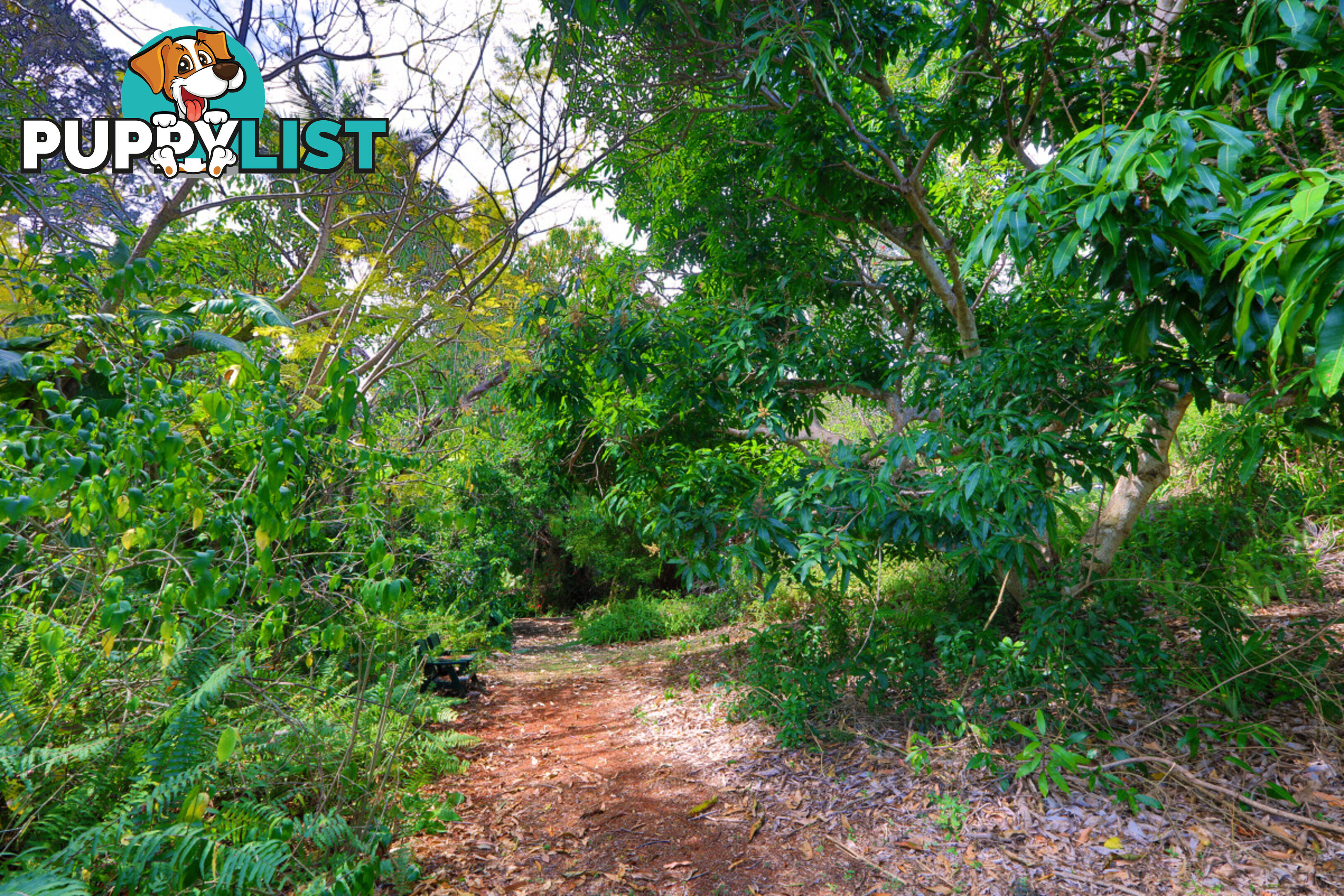 9a Sunset Avenue Buderim QLD 4556