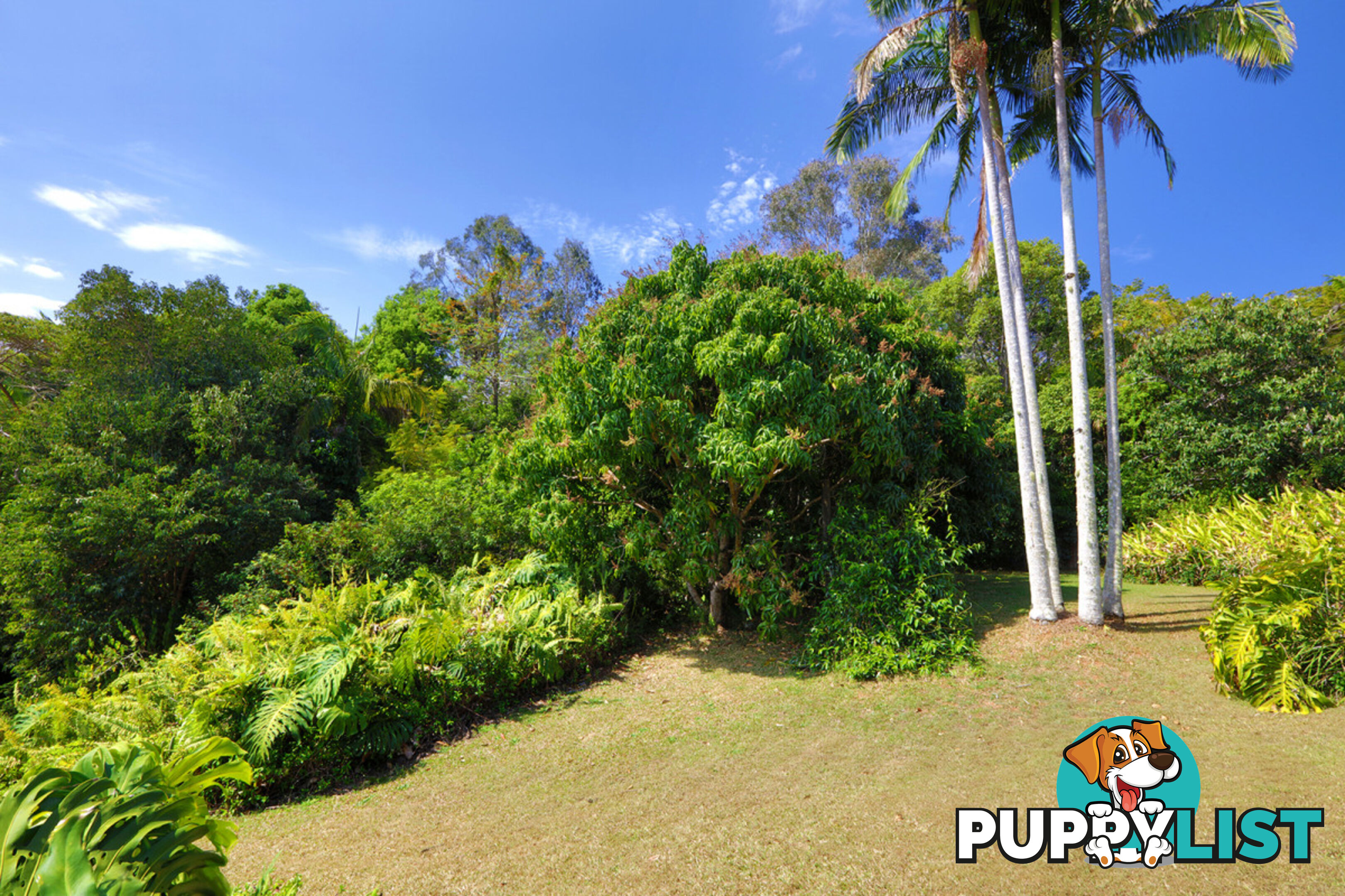 9a Sunset Avenue Buderim QLD 4556