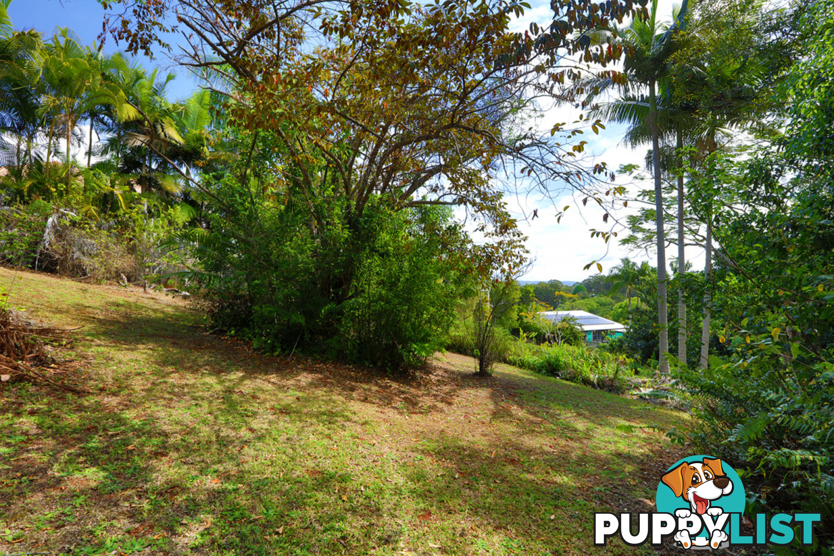 9a Sunset Avenue Buderim QLD 4556