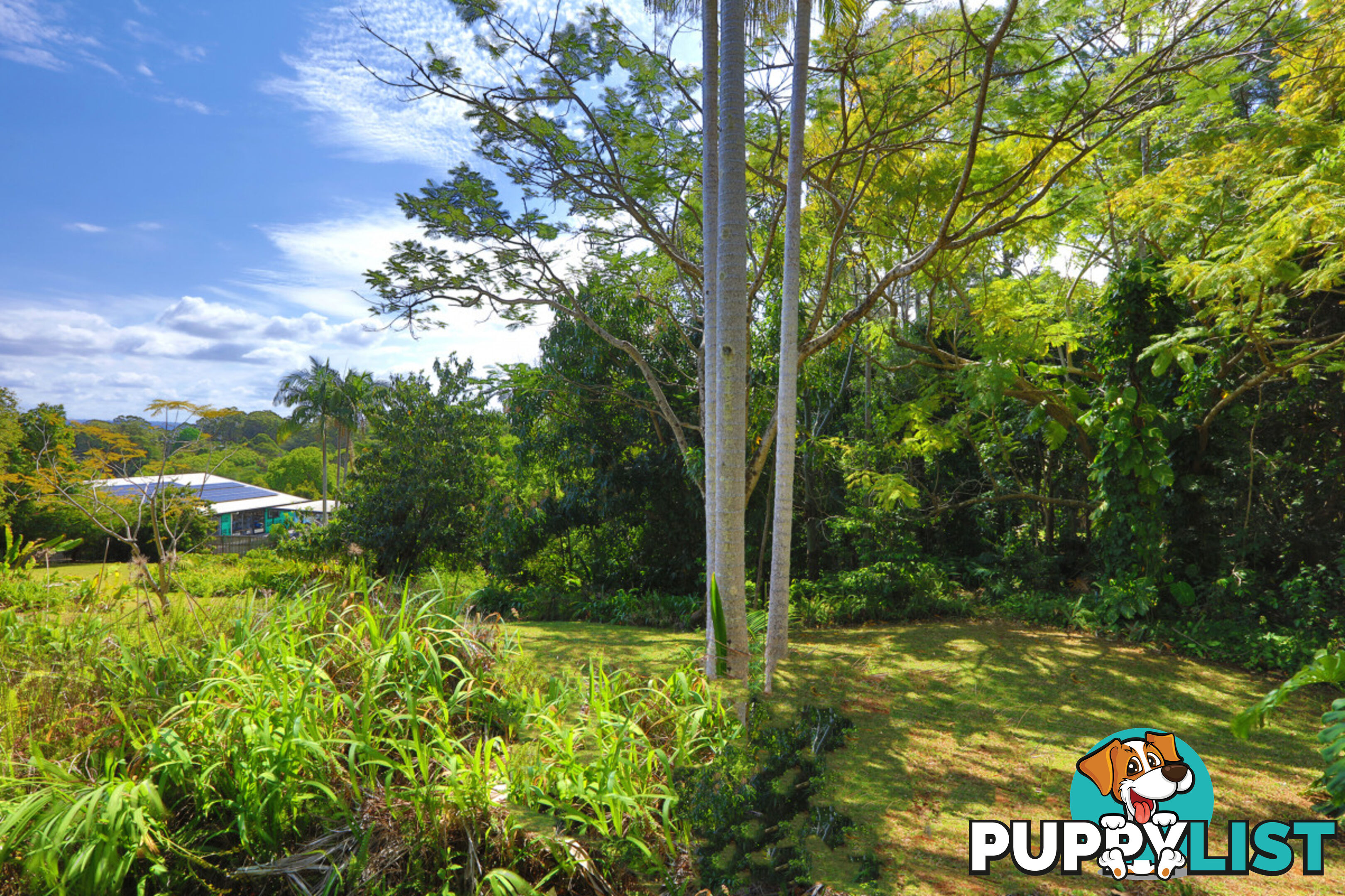 9a Sunset Avenue Buderim QLD 4556