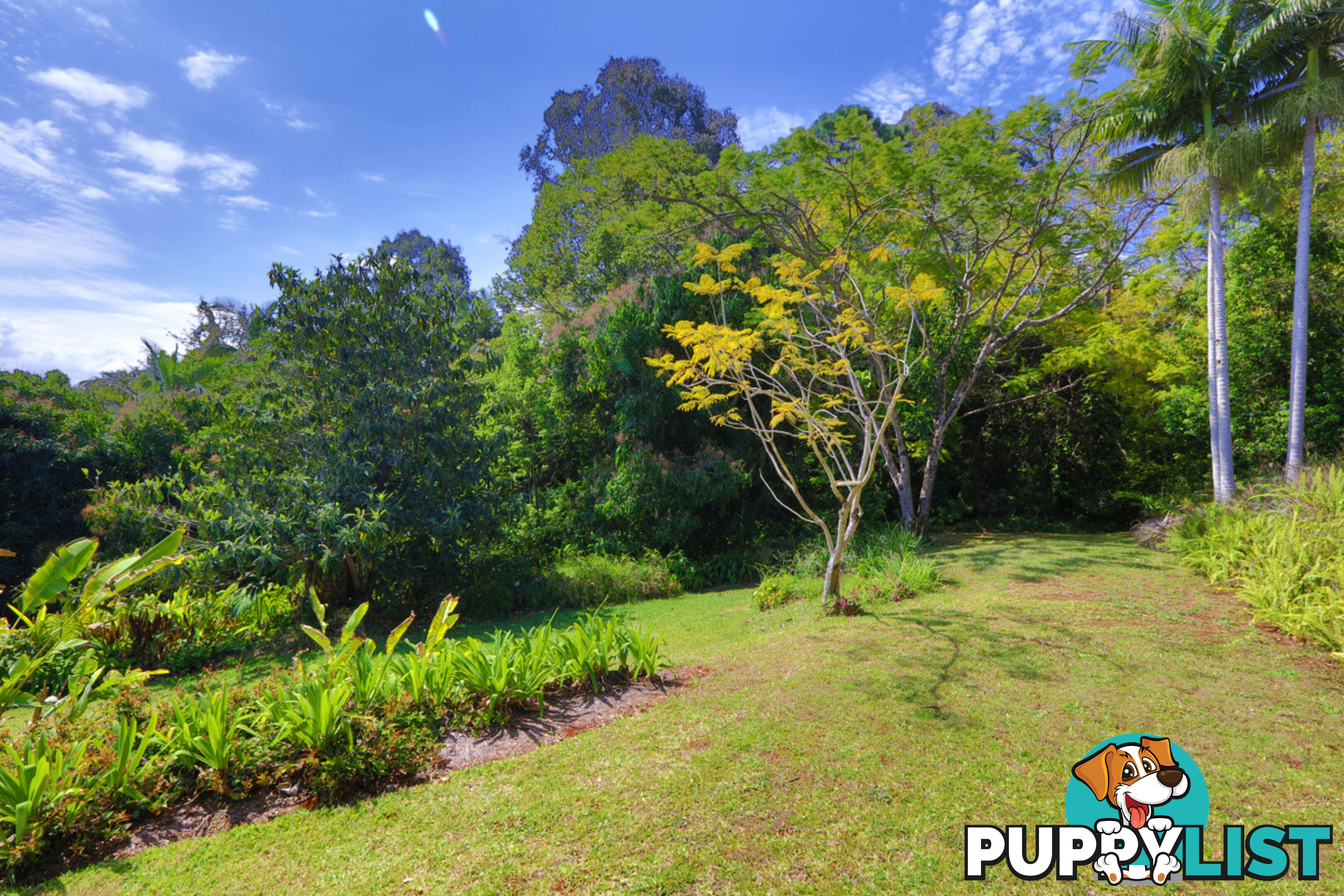 9a Sunset Avenue Buderim QLD 4556