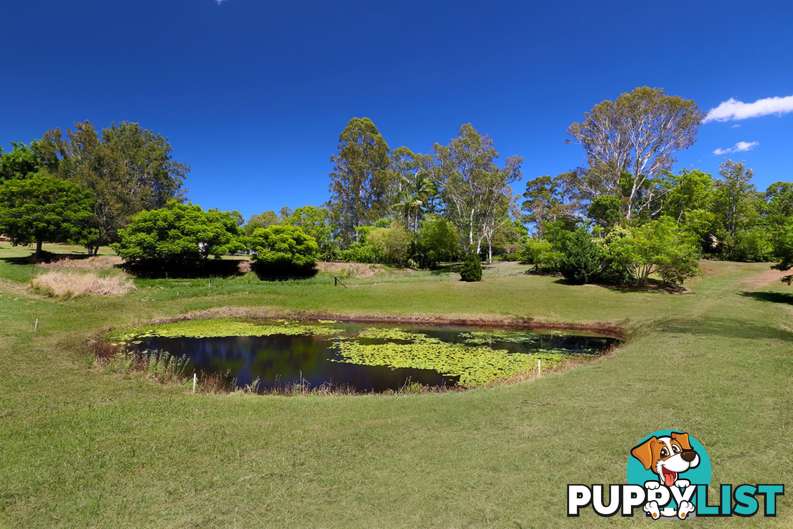 258 Dulong Road Dulong QLD 4560