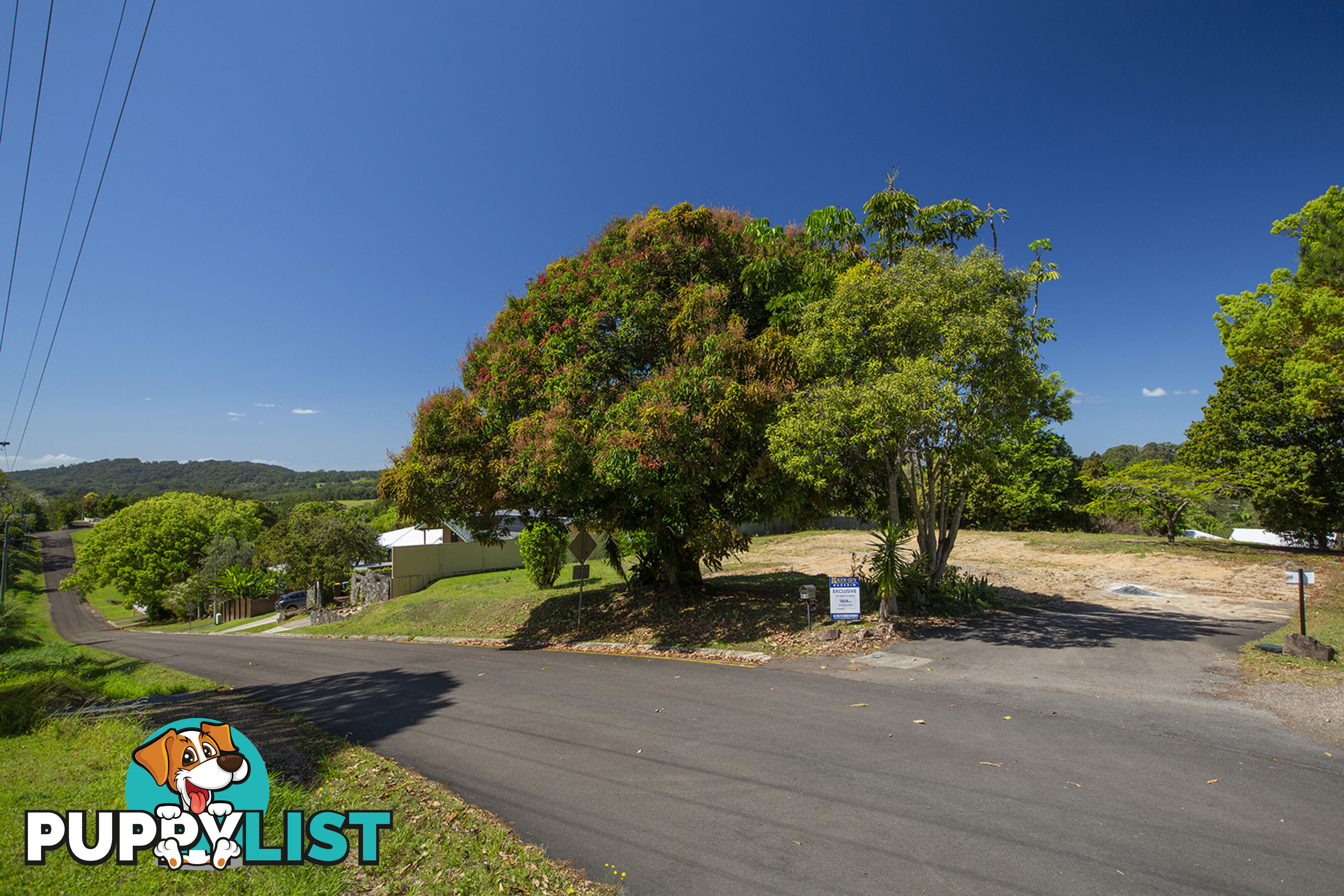 8 Wilson Lane Woombye QLD 4559