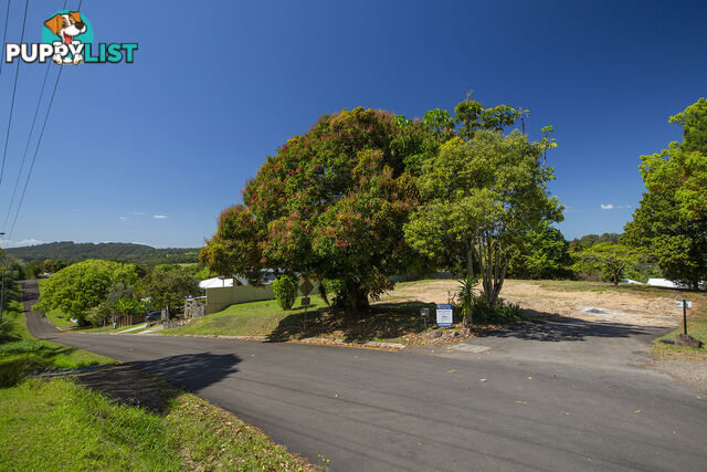 8 Wilson Lane Woombye QLD 4559