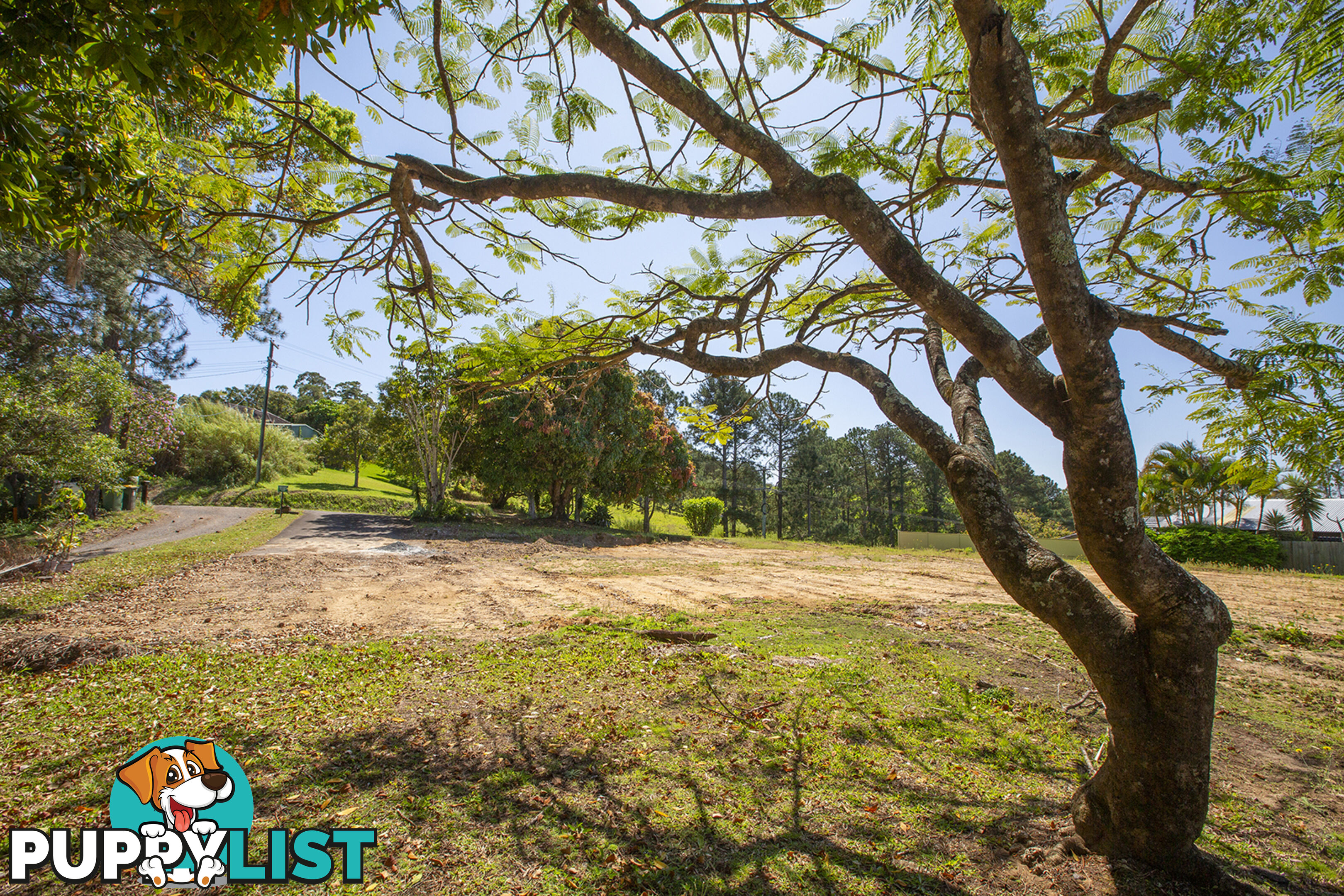 8 Wilson Lane Woombye QLD 4559