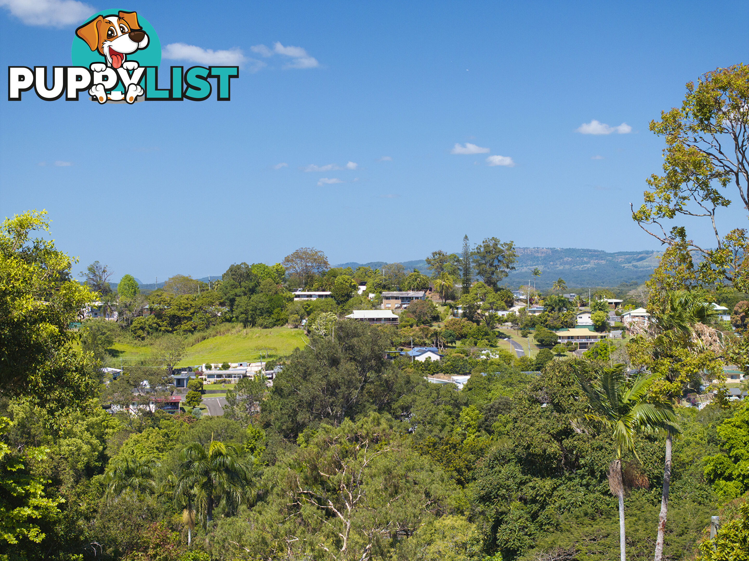 8 Wilson Lane Woombye QLD 4559