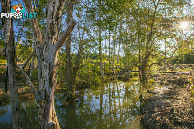 3 30 Lorikeet Place Burnside QLD 4560