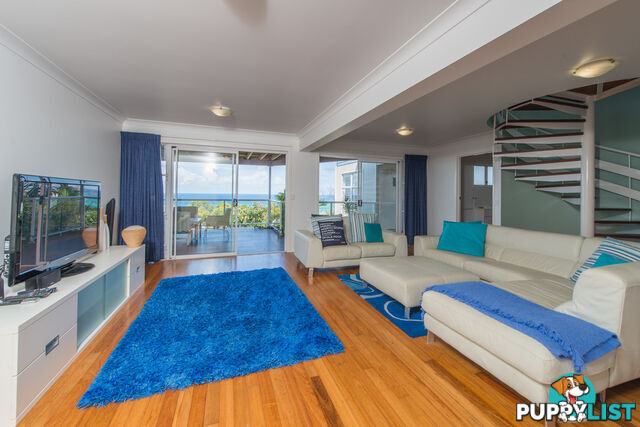 43 Tramican Street POINT LOOKOUT QLD 4183