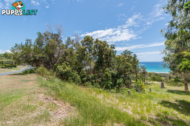 75 Tramican Street POINT LOOKOUT QLD 4183