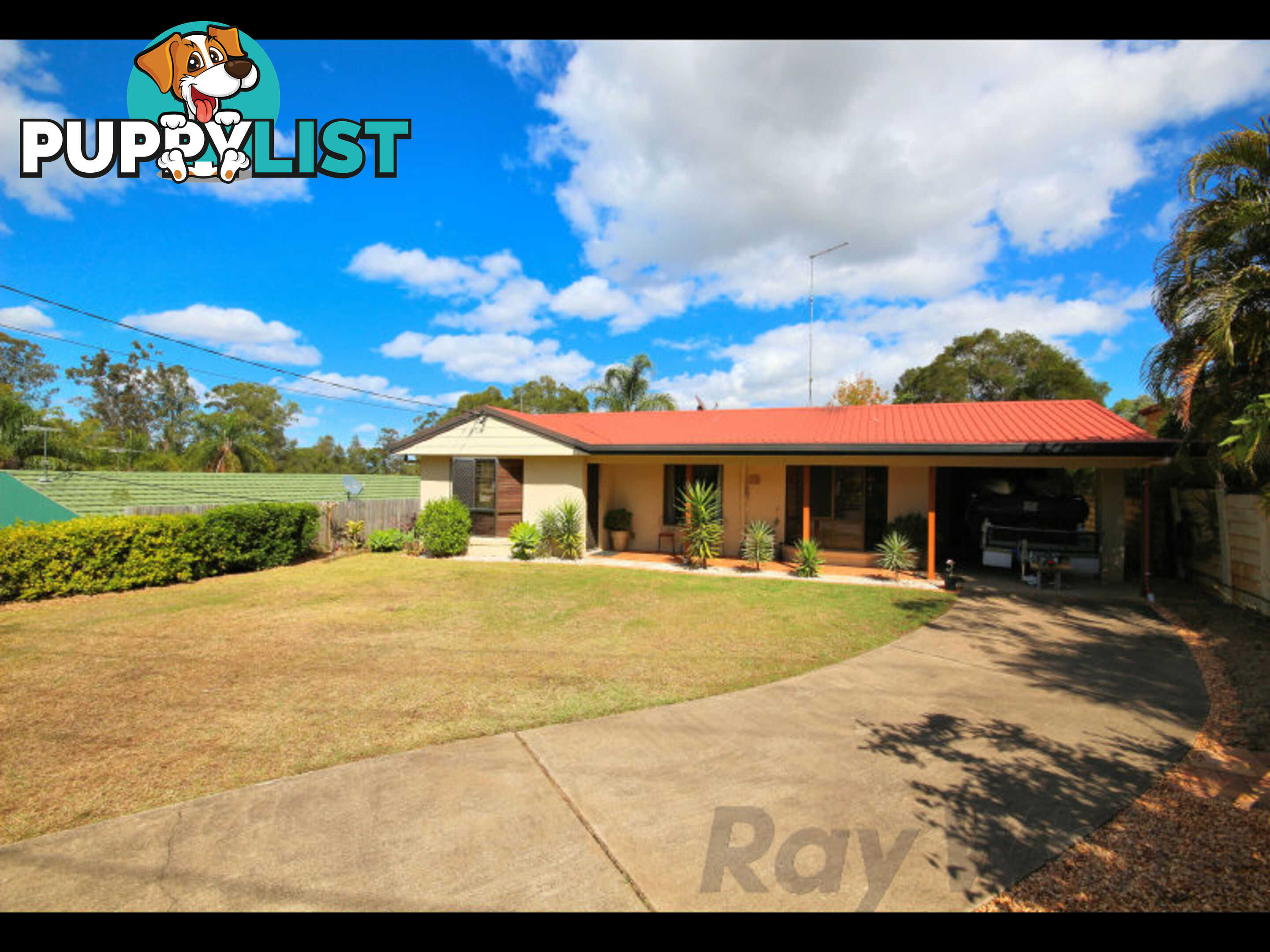 6 Brolga Court BUNDAMBA QLD 4304