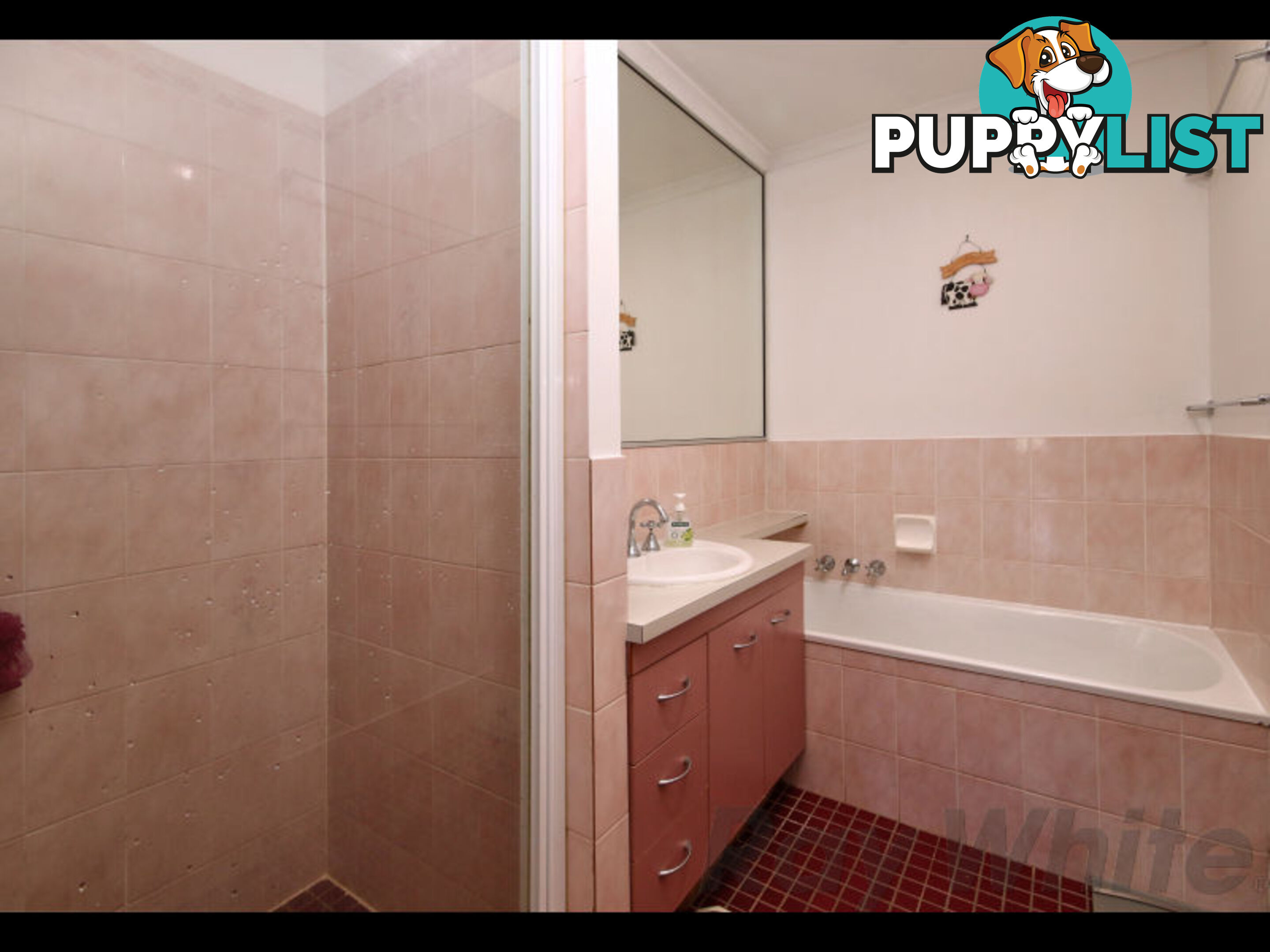 6 Brolga Court BUNDAMBA QLD 4304