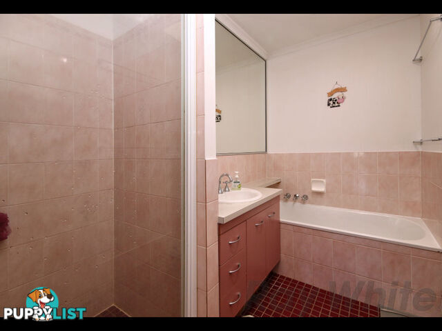6 Brolga Court BUNDAMBA QLD 4304