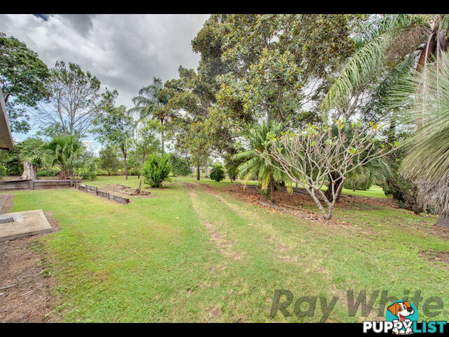 19 Kirk Street BUNDAMBA QLD 4304