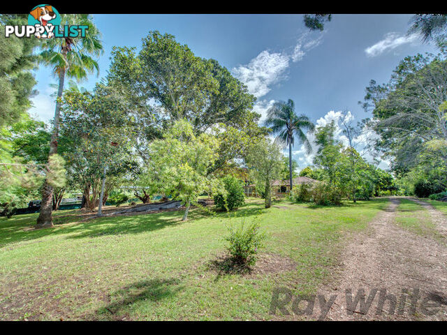 19 Kirk Street BUNDAMBA QLD 4304