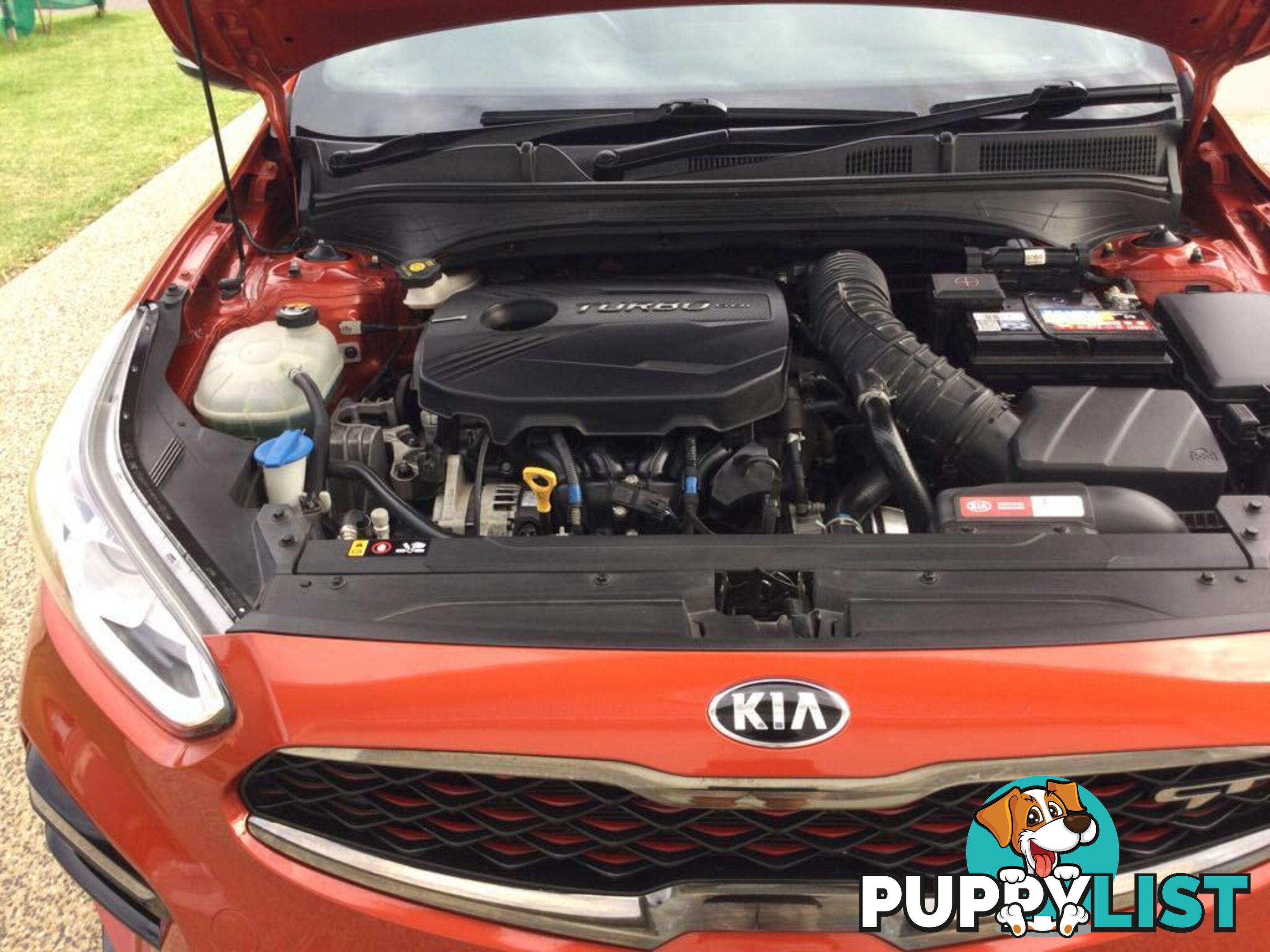 2019 Kia Cerato GT Hatchback Automatic