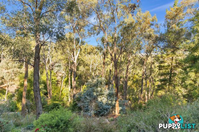 4 Wychwood Grove UPPER STURT SA 5156