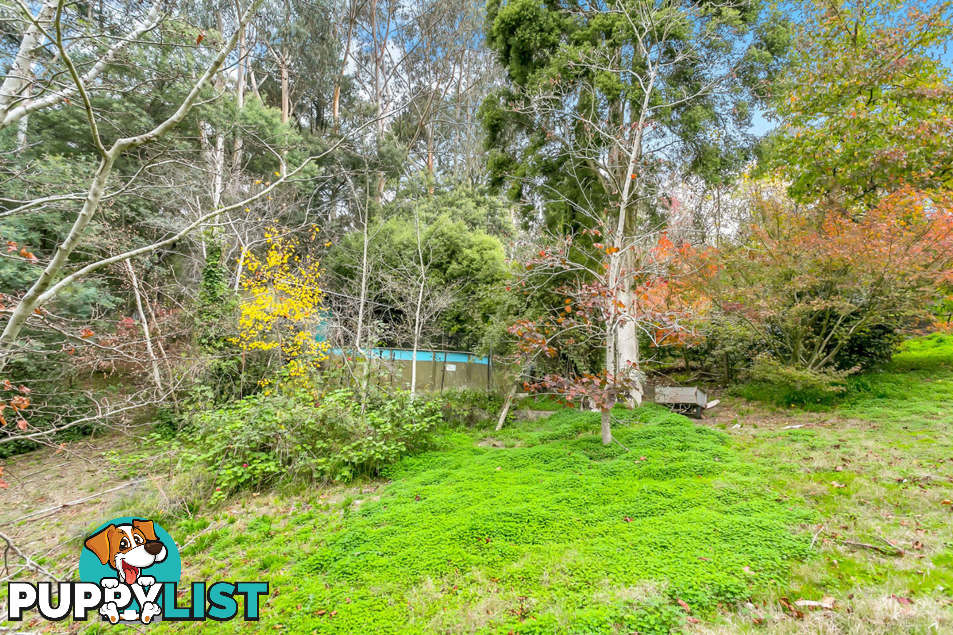 249 Strathalbyn Road BRIDGEWATER SA 5155