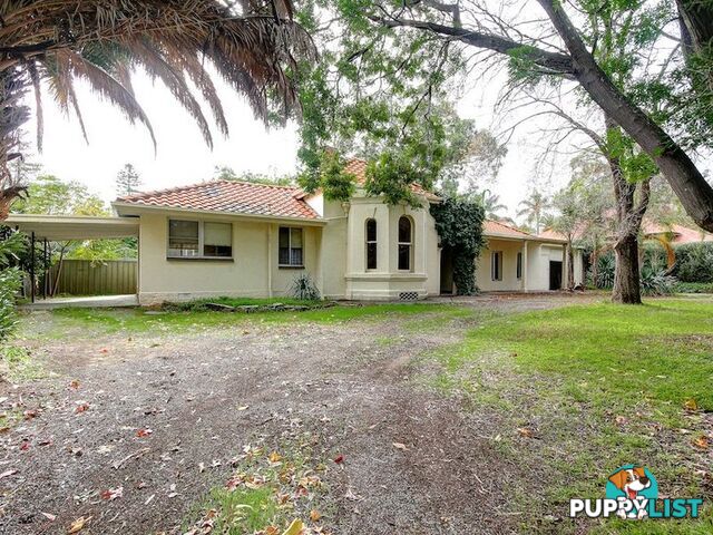 38 Angas Road HAWTHORN SA 5062