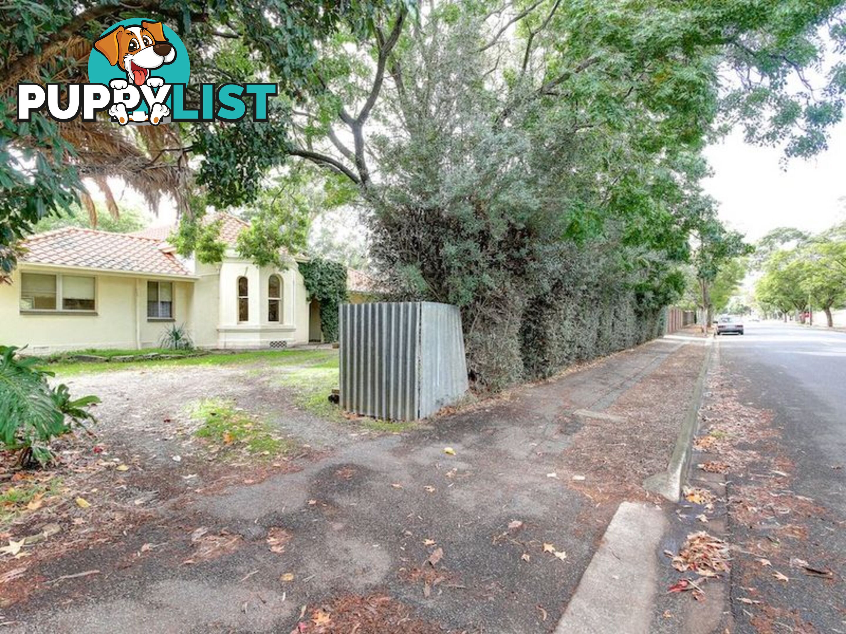 38 Angas Road HAWTHORN SA 5062