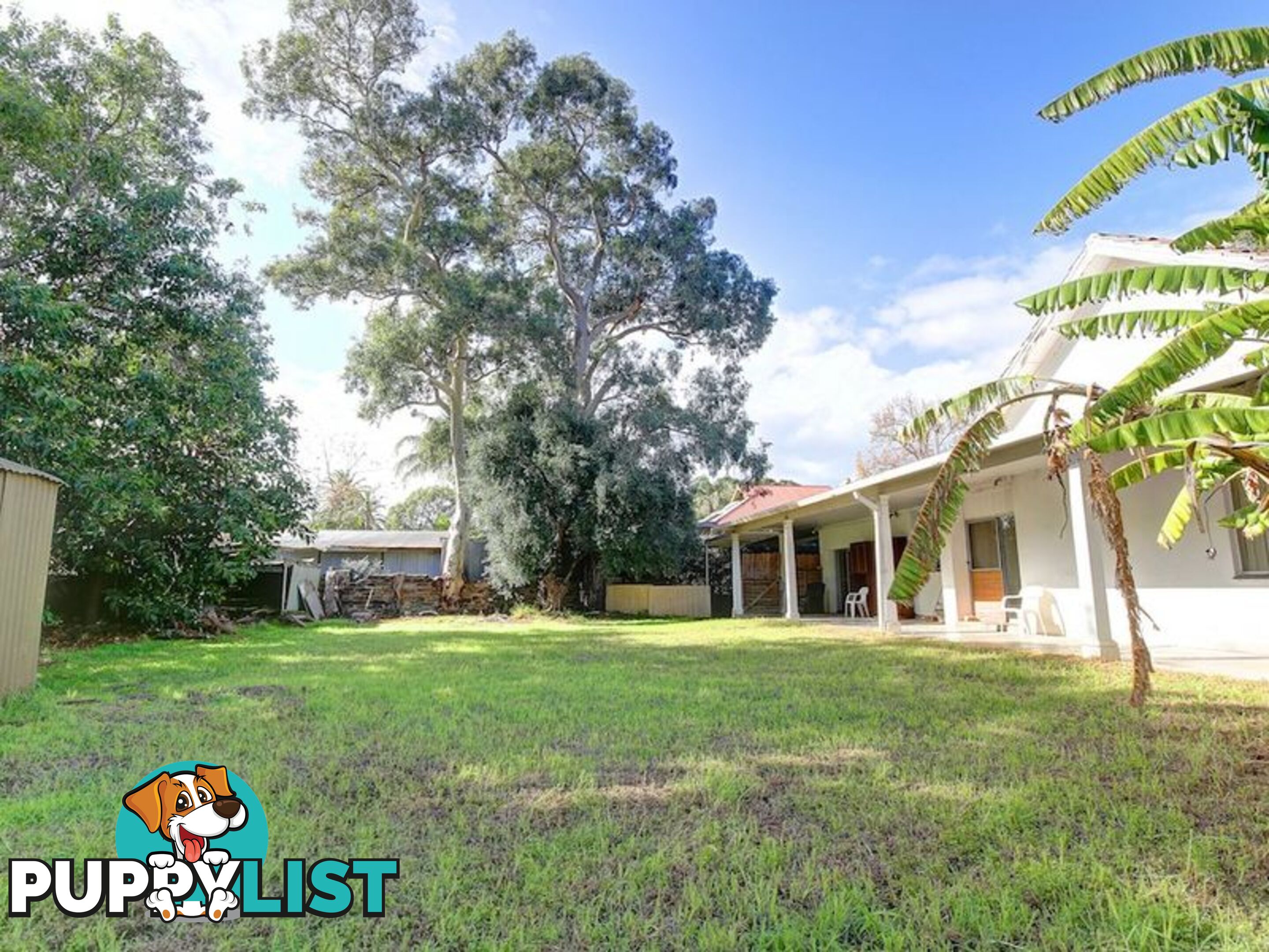 38 Angas Road HAWTHORN SA 5062