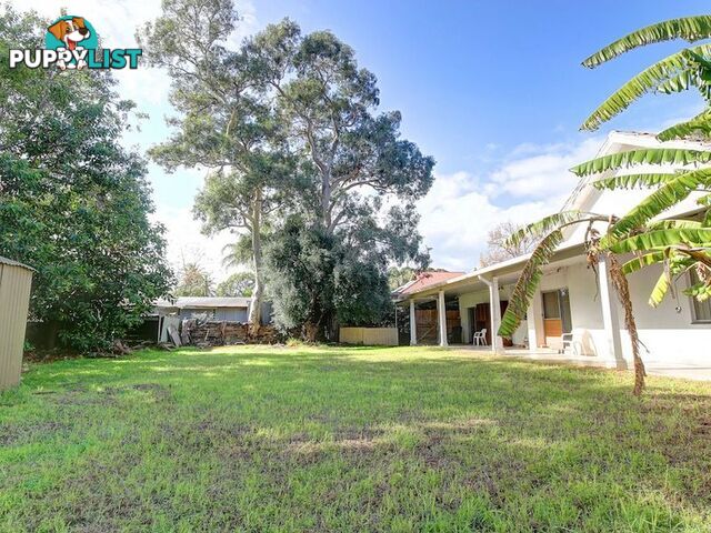 38 Angas Road HAWTHORN SA 5062