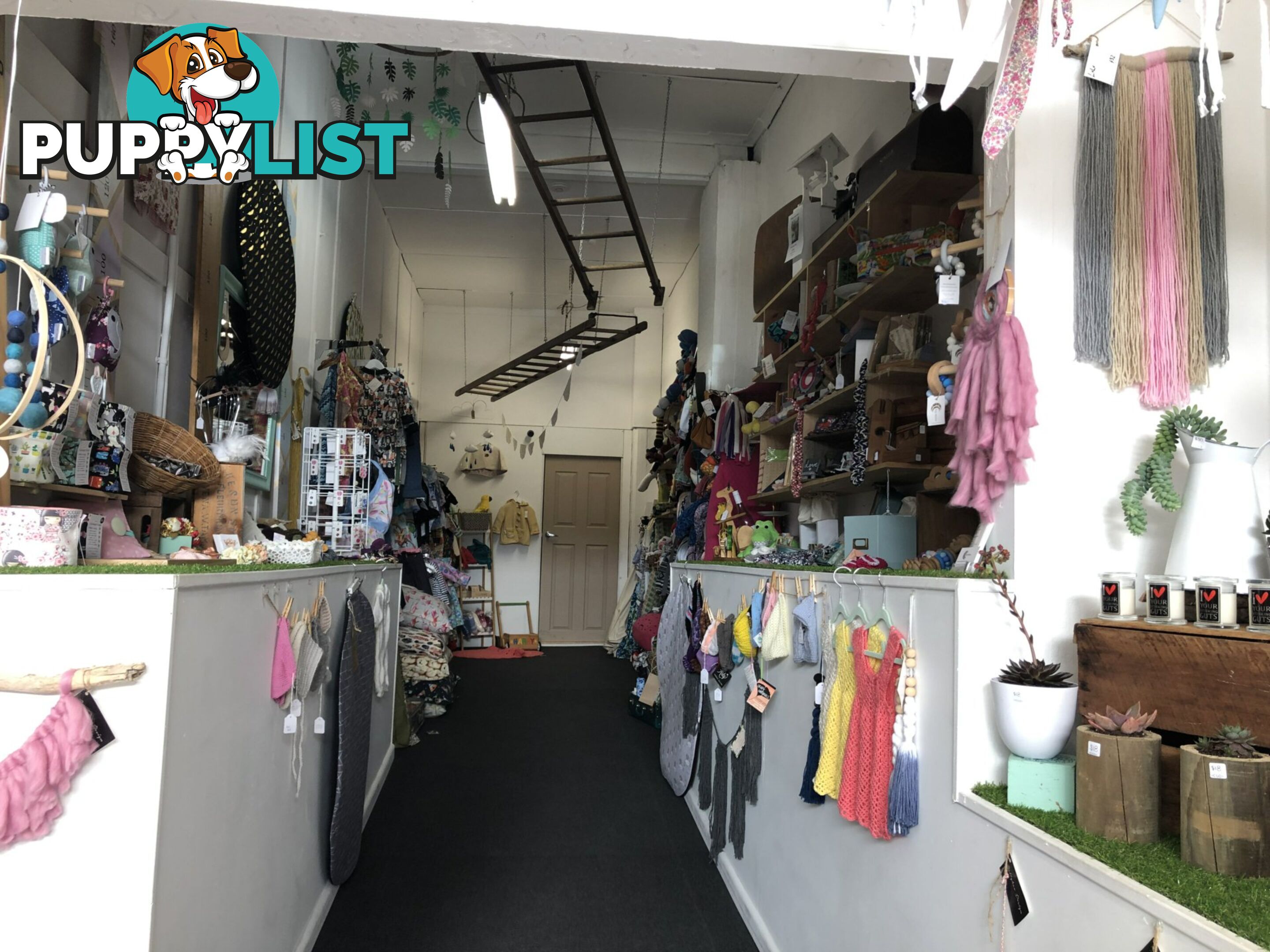 23 Wilmot Street BURNIE TAS 7320