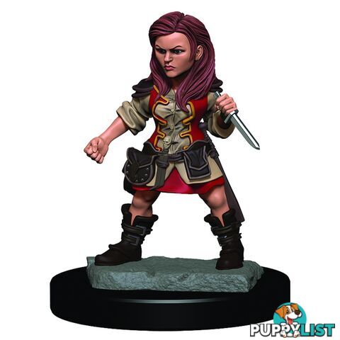 Dungeons & Dragons Premium Female Halfing Rouge Pre-Painted Figure - WizKids - Tabletop Role Playing Game GTIN/EAN/UPC: 634482930199