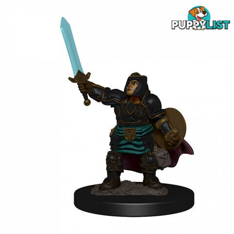 Dungeons & Dragons Premium Female Dwarf Paladin Pre-Painted Figure - WizKids - Tabletop Role Playing Game GTIN/EAN/UPC: 634482930274