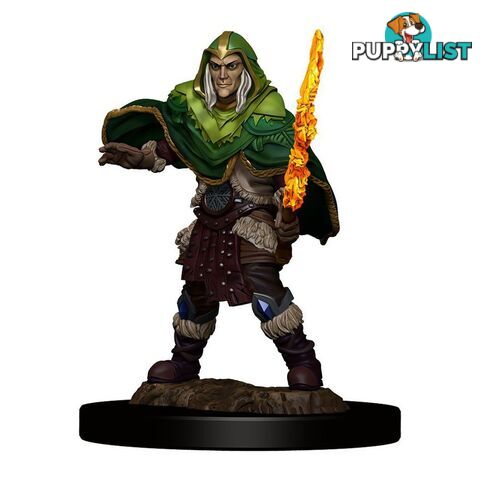 Dungeons & Dragons Premium Male Elf Fighter Pre-Painted Figure - WizKids - Tabletop Role Playing Game GTIN/EAN/UPC: 634482930397