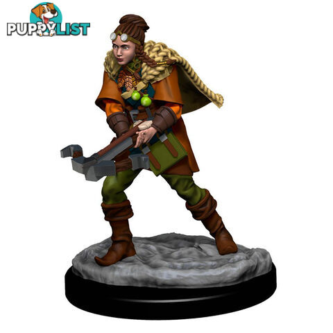 Dungeons & Dragons Premium Female Human Ranger Pre-Painted Figure - WizKids - Tabletop Role Playing Game GTIN/EAN/UPC: 634482930359