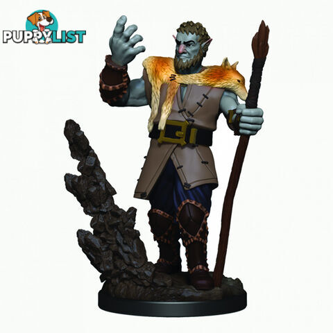 Dungeons & Dragons Firbolg Male Druid Premium Figure - WizKids - Tabletop Role Playing Game GTIN/EAN/UPC: 634482930137