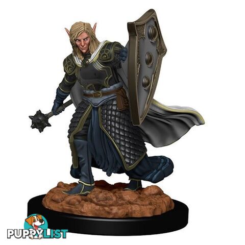 Dungeons & Dragons Elf Male Cleric Premium Figure - WizKids - Tabletop Role Playing Game GTIN/EAN/UPC: 634482930083