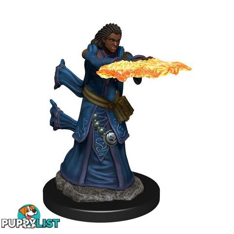 Dungeons & Dragons Premium Female Human Wizard Pre-Painted Figure - WizKids - Tabletop Role Playing Game GTIN/EAN/UPC: 634482930342