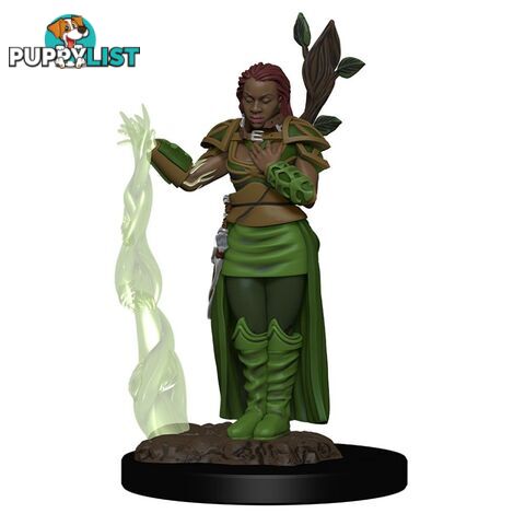 Dungeons & Dragons Human Female Druid Premium Figure - WizKids - Tabletop Role Playing Game GTIN/EAN/UPC: 634482930090