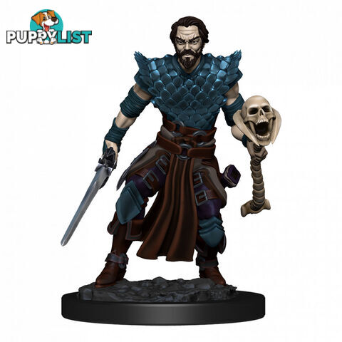 Dungeons & Dragons Premium Male Human Warlock Pre-Painted Figure - Wizards of the Coast - Tabletop Role Playing Game GTIN/EAN/UPC: 634482930243