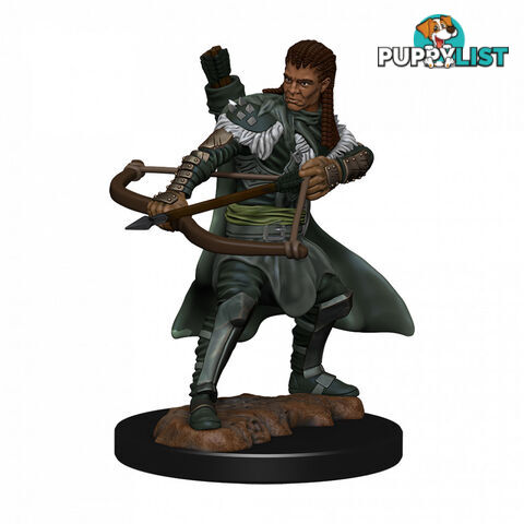 Dungeons & Dragons Premium Male Human Ranger Pre-Painted Figure - WizKids - Tabletop Role Playing Game GTIN/EAN/UPC: 634482930304