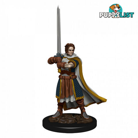 Dungeons & Dragons Premium Male Human Cleric Pre-Painted Figure - WizKids - Tabletop Role Playing Game GTIN/EAN/UPC: 634482930236