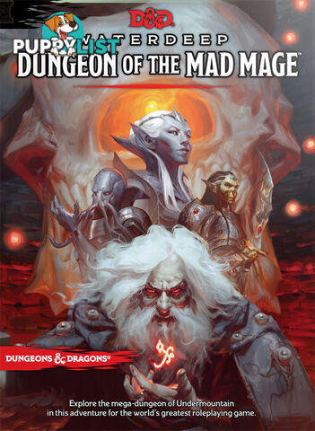 Dungeons & Dragons Waterdeep: Dungeon of the Mad Mage - Wizards of the Coast - Tabletop Role Playing Game GTIN/EAN/UPC: 9780786966264