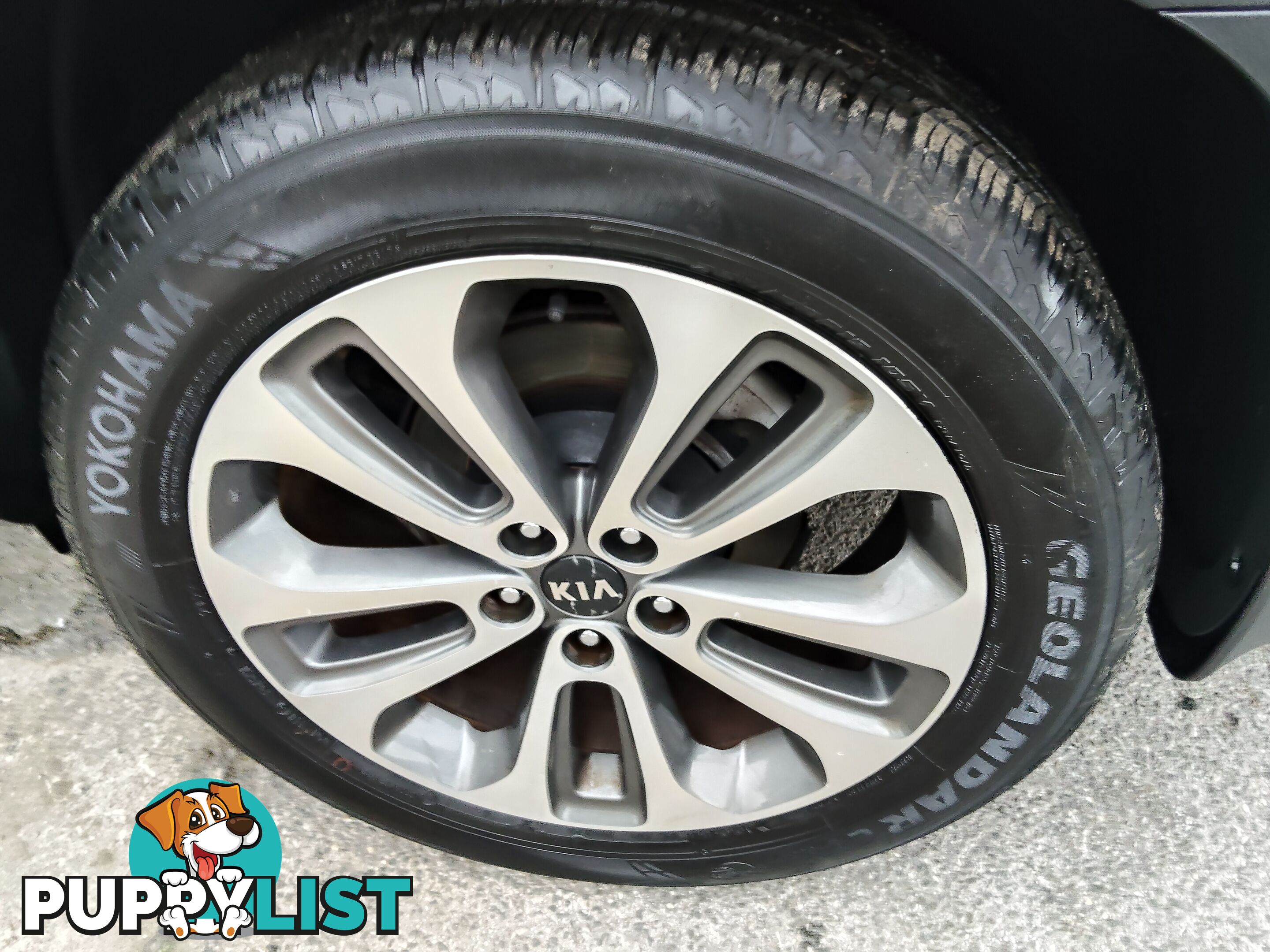 2013 Kia Sorento PLATINUM AWD Wagon Automatic