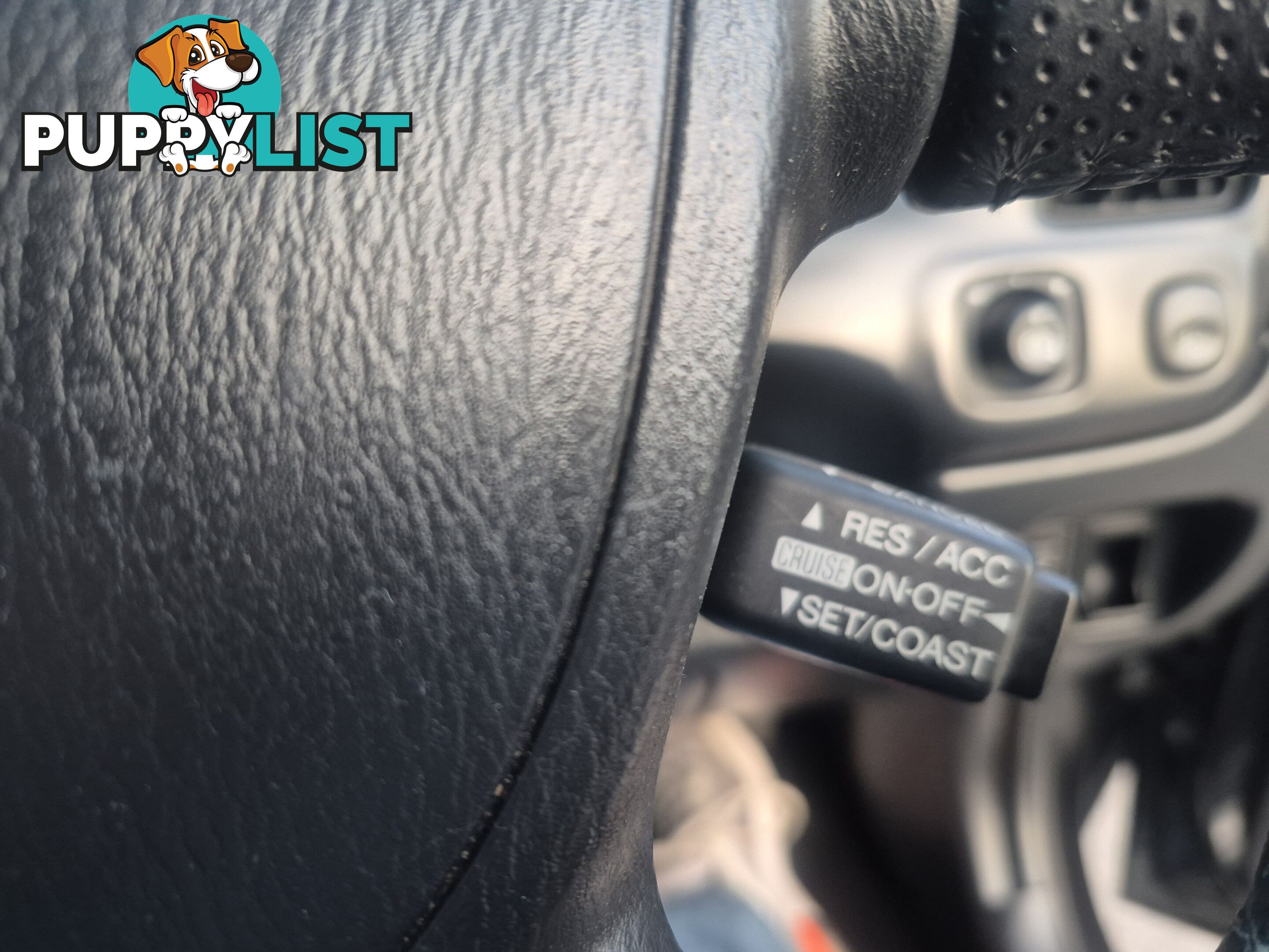 2008 Ford Escape XLT Wagon Automatic