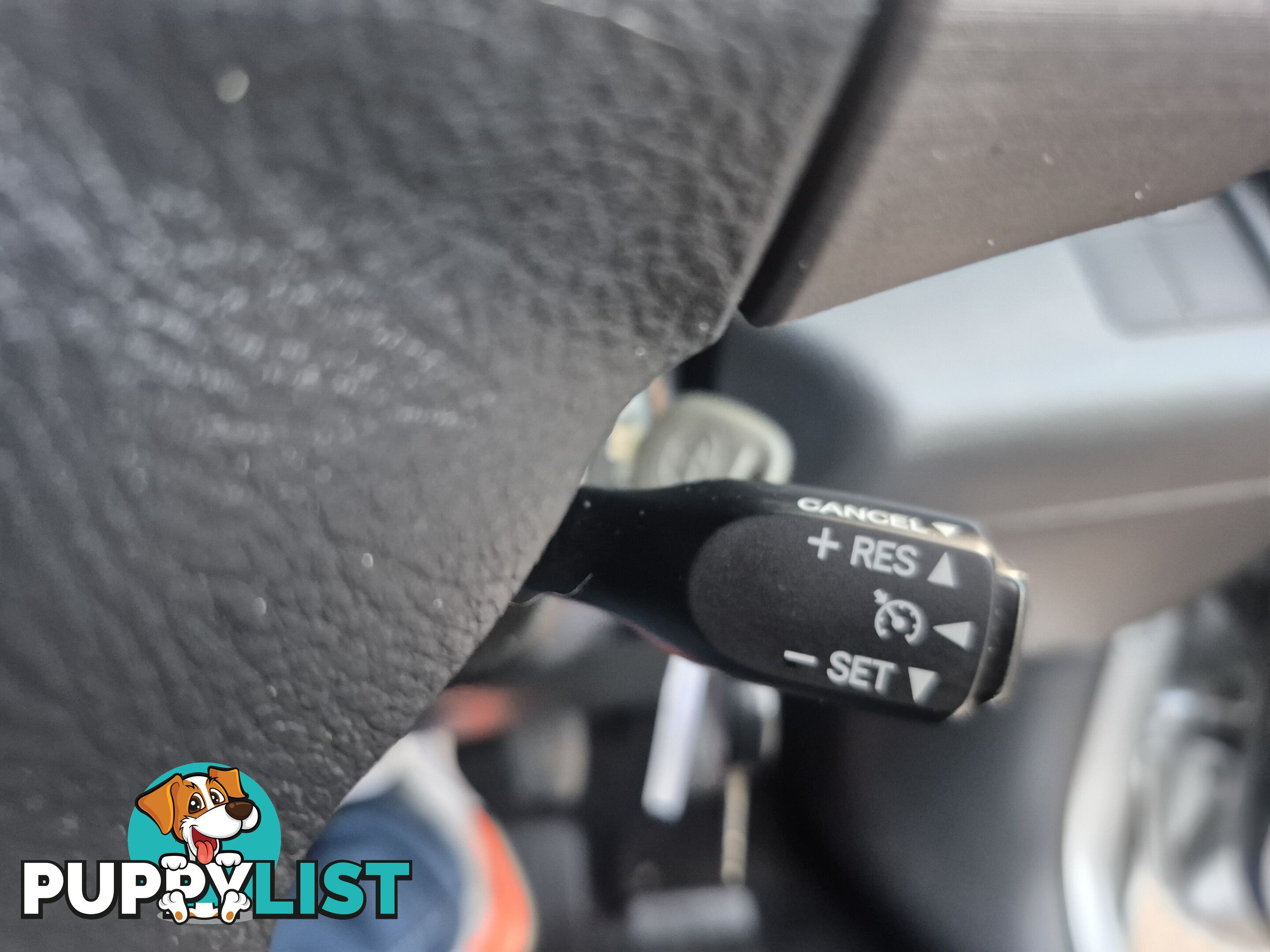 2006 Toyota RAV4 Wagon Manual