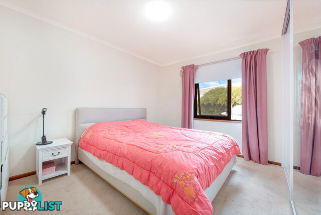 2A Spring Street BEVERLEY SA 5009